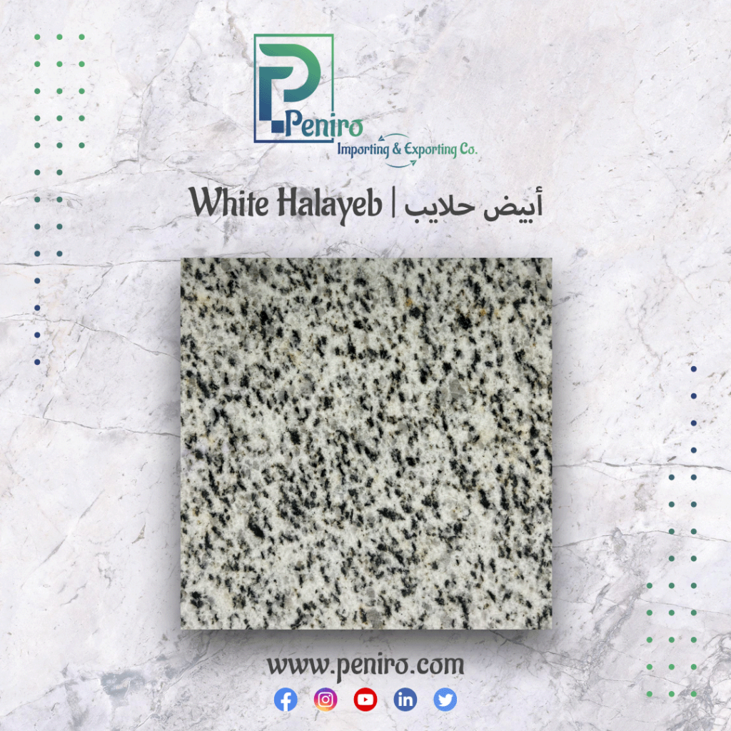 White Halayeb | أبيض حلايب